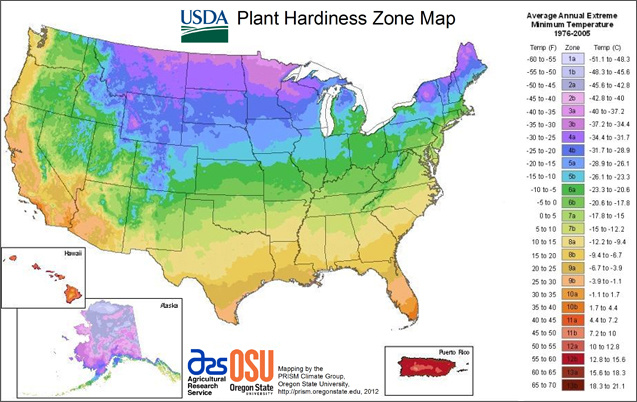 Understanding Plant Hardiness Zones Image